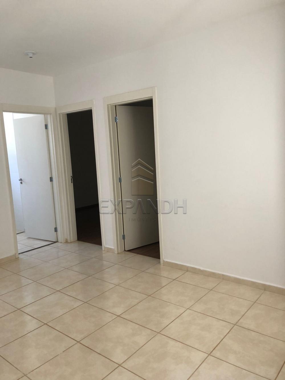 Alugar Apartamentos / Padrão em Sertãozinho R$ 500,00 - Foto 5