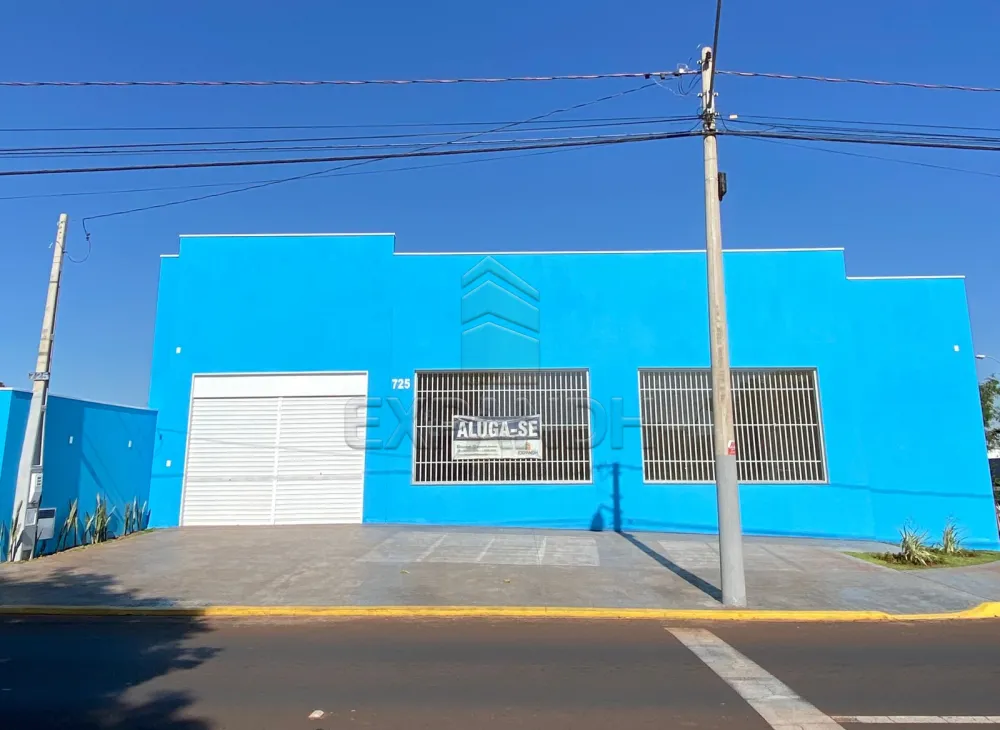 Alugar Comerciais / Barracão em Sertãozinho R$ 5.500,00 - Foto 1