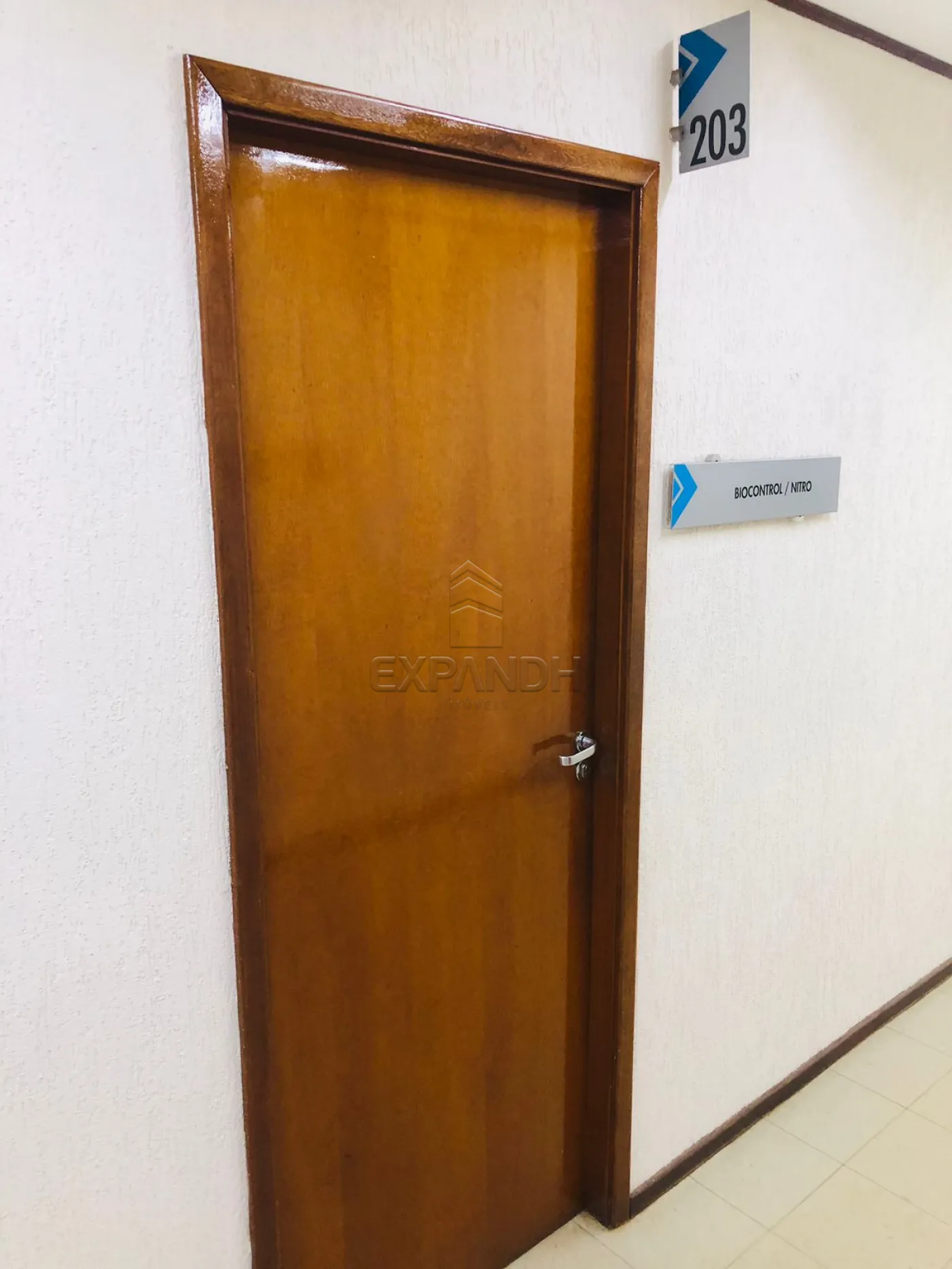 Alugar Comerciais / Sala em Sertãozinho R$ 1.400,00 - Foto 1