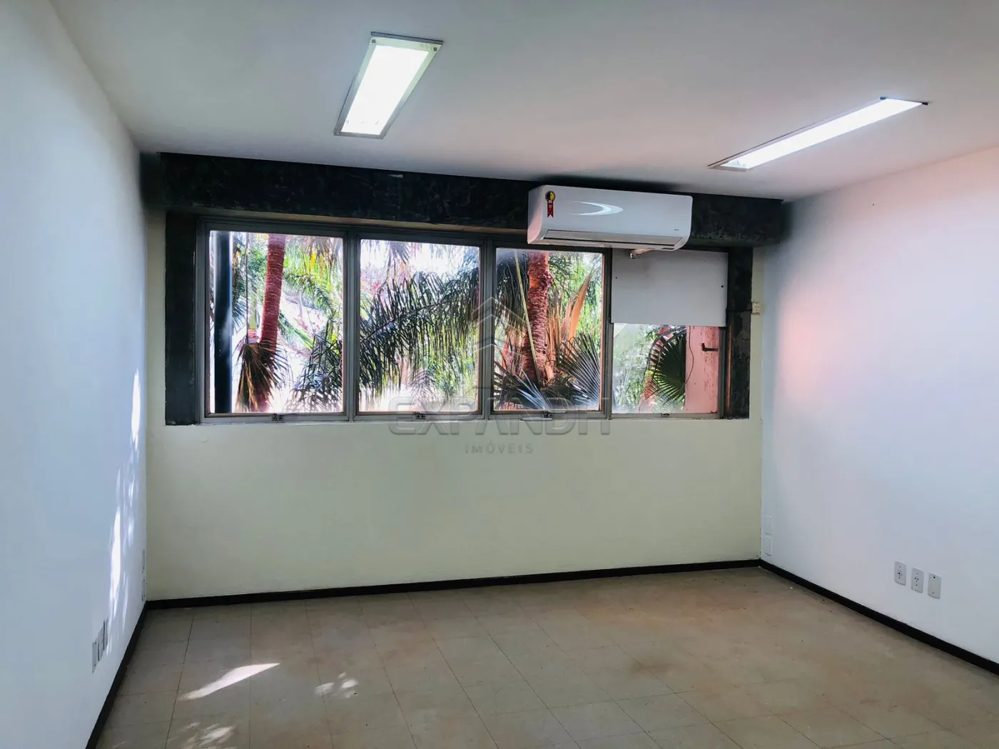 Alugar Comerciais / Sala em Sertãozinho R$ 1.400,00 - Foto 3