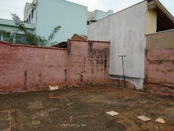 imagem 2 - Casas - Padrão imagem 2 - Casas - Padrão