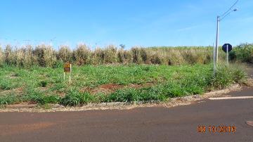 Comprar Terrenos / Padrão em Sertãozinho R$ 130.000,00 - Foto 2 Comprar Terrenos / Padrão em Sertãozinho R$ 130.000,00 - Foto 2