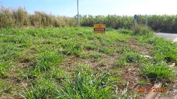 Comprar Terrenos / Padrão em Sertãozinho R$ 130.000,00 - Foto 6 Comprar Terrenos / Padrão em Sertãozinho R$ 130.000,00 - Foto 6
