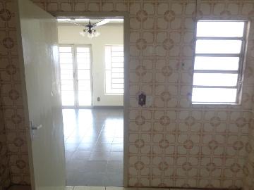Alugar Casas / Padrão em Sertãozinho R$ 855,00 - Foto 15 Alugar Casas / Padrão em Sertãozinho R$ 855,00 - Foto 15