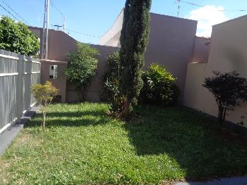 Alugar Casas / Padrão em Sertãozinho R$ 855,00 - Foto 3 Alugar Casas / Padrão em Sertãozinho R$ 855,00 - Foto 3