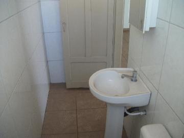 Comerciais / Salão em Sertãozinho Alugar por R$1.005,00 Comerciais / Salão em Sertãozinho Alugar por R$1.005,00