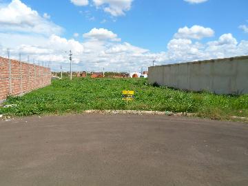 Comprar Terrenos / Padrão em Sertãozinho R$ 135.000,00 - Foto 3 Comprar Terrenos / Padrão em Sertãozinho R$ 135.000,00 - Foto 3