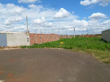 Comprar Terrenos / Padrão em Sertãozinho R$ 135.000,00 - Foto 1 Comprar Terrenos / Padrão em Sertãozinho R$ 135.000,00 - Foto 1