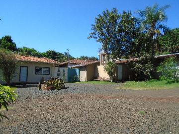 Alugar Rurais / Chácara em Sertãozinho R$ 3.850,00 - Foto 3 Alugar Rurais / Chácara em Sertãozinho R$ 3.850,00 - Foto 3