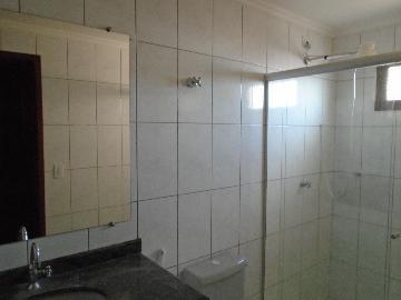 Alugar Apartamentos / Padrão em Sertãozinho R$ 1.100,00 - Foto 6 Alugar Apartamentos / Padrão em Sertãozinho R$ 1.100,00 - Foto 6