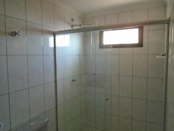 Alugar Apartamentos / Padrão em Sertãozinho R$ 1.100,00 - Foto 7 Alugar Apartamentos / Padrão em Sertãozinho R$ 1.100,00 - Foto 7