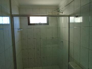 Alugar Apartamentos / Padrão em Sertãozinho R$ 1.100,00 - Foto 13 Alugar Apartamentos / Padrão em Sertãozinho R$ 1.100,00 - Foto 13