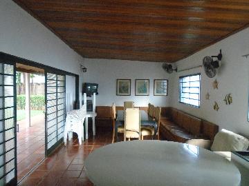 Comprar Rurais / Chácara em Sertãozinho R$ 1.000.000,00 - Foto 15 Comprar Rurais / Chácara em Sertãozinho R$ 1.000.000,00 - Foto 15