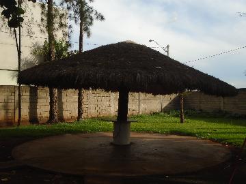 Comprar Rurais / Chácara em Sertãozinho R$ 1.000.000,00 - Foto 10 Comprar Rurais / Chácara em Sertãozinho R$ 1.000.000,00 - Foto 10