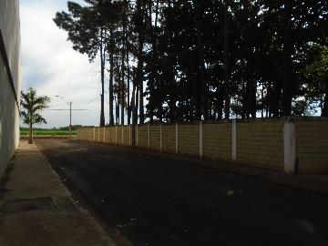 Comprar Rurais / Chácara em Sertãozinho R$ 1.000.000,00 - Foto 2 Comprar Rurais / Chácara em Sertãozinho R$ 1.000.000,00 - Foto 2
