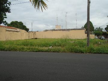 Comprar Terrenos / Padrão em Sertãozinho R$ 280.000,00 - Foto 1 Comprar Terrenos / Padrão em Sertãozinho R$ 280.000,00 - Foto 1