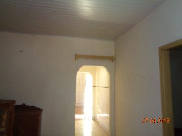 Alugar Casas / Padrão em Sertãozinho R$ 850,00 - Foto 3 Alugar Casas / Padrão em Sertãozinho R$ 850,00 - Foto 3
