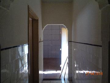 Alugar Casas / Padrão em Sertãozinho R$ 850,00 - Foto 4 Alugar Casas / Padrão em Sertãozinho R$ 850,00 - Foto 4