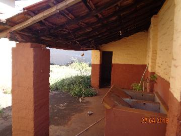 Alugar Casas / Padrão em Sertãozinho R$ 850,00 - Foto 10 Alugar Casas / Padrão em Sertãozinho R$ 850,00 - Foto 10