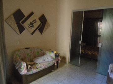 Comprar Casas / Padrão em Sertãozinho R$ 550.000,00 - Foto 17 Comprar Casas / Padrão em Sertãozinho R$ 550.000,00 - Foto 17
