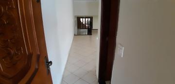 Alugar Casas / Padrão em Sertãozinho R$ 1.650,00 - Foto 4 Alugar Casas / Padrão em Sertãozinho R$ 1.650,00 - Foto 4