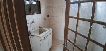 Alugar Casas / Padrão em Sertãozinho R$ 1.650,00 - Foto 11 Alugar Casas / Padrão em Sertãozinho R$ 1.650,00 - Foto 11