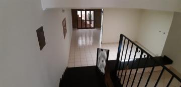 Alugar Casas / Padrão em Sertãozinho R$ 1.650,00 - Foto 17 Alugar Casas / Padrão em Sertãozinho R$ 1.650,00 - Foto 17