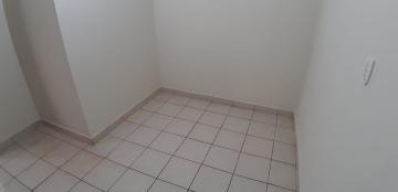 Alugar Casas / Padrão em Sertãozinho R$ 1.650,00 - Foto 31 Alugar Casas / Padrão em Sertãozinho R$ 1.650,00 - Foto 31