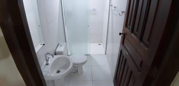Alugar Casas / Padrão em Sertãozinho R$ 1.650,00 - Foto 36 Alugar Casas / Padrão em Sertãozinho R$ 1.650,00 - Foto 36