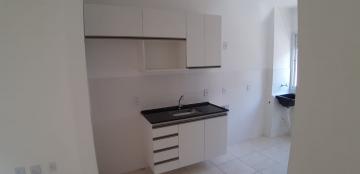 Alugar Apartamentos / Padrão em Sertãozinho R$ 650,00 - Foto 14 Alugar Apartamentos / Padrão em Sertãozinho R$ 650,00 - Foto 14