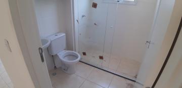 Alugar Apartamentos / Padrão em Sertãozinho R$ 650,00 - Foto 16 Alugar Apartamentos / Padrão em Sertãozinho R$ 650,00 - Foto 16