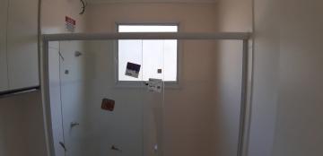 Alugar Apartamentos / Padrão em Sertãozinho R$ 650,00 - Foto 18 Alugar Apartamentos / Padrão em Sertãozinho R$ 650,00 - Foto 18