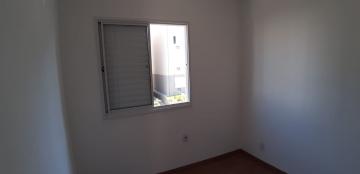 Alugar Apartamentos / Padrão em Sertãozinho R$ 650,00 - Foto 20 Alugar Apartamentos / Padrão em Sertãozinho R$ 650,00 - Foto 20