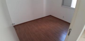 Alugar Apartamentos / Padrão em Sertãozinho R$ 650,00 - Foto 25 Alugar Apartamentos / Padrão em Sertãozinho R$ 650,00 - Foto 25