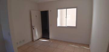 Alugar Apartamentos / Padrão em Sertãozinho R$ 650,00 - Foto 7 Alugar Apartamentos / Padrão em Sertãozinho R$ 650,00 - Foto 7