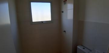 Alugar Apartamentos / Padrão em Sertãozinho R$ 650,00 - Foto 11 Alugar Apartamentos / Padrão em Sertãozinho R$ 650,00 - Foto 11
