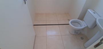 Alugar Apartamentos / Padrão em Sertãozinho R$ 650,00 - Foto 12 Alugar Apartamentos / Padrão em Sertãozinho R$ 650,00 - Foto 12