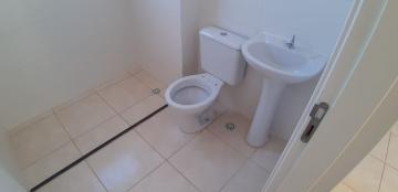 Alugar Apartamentos / Padrão em Sertãozinho R$ 650,00 - Foto 10 Alugar Apartamentos / Padrão em Sertãozinho R$ 650,00 - Foto 10