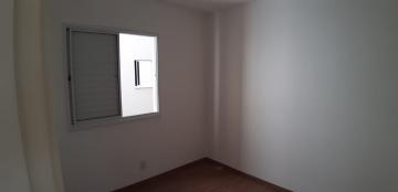 Alugar Apartamentos / Padrão em Sertãozinho R$ 650,00 - Foto 14 Alugar Apartamentos / Padrão em Sertãozinho R$ 650,00 - Foto 14