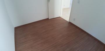 Alugar Apartamentos / Padrão em Sertãozinho R$ 650,00 - Foto 15 Alugar Apartamentos / Padrão em Sertãozinho R$ 650,00 - Foto 15