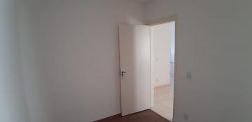 Alugar Apartamentos / Padrão em Sertãozinho R$ 650,00 - Foto 16 Alugar Apartamentos / Padrão em Sertãozinho R$ 650,00 - Foto 16