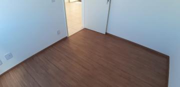 Alugar Apartamentos / Padrão em Sertãozinho R$ 650,00 - Foto 19 Alugar Apartamentos / Padrão em Sertãozinho R$ 650,00 - Foto 19
