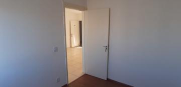 Alugar Apartamentos / Padrão em Sertãozinho R$ 650,00 - Foto 20 Alugar Apartamentos / Padrão em Sertãozinho R$ 650,00 - Foto 20