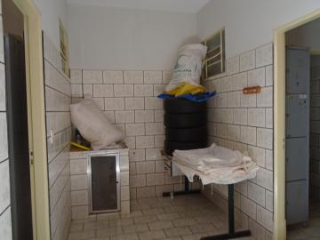 Comprar Comerciais / Salão em Sertãozinho R$ 500.000,00 - Foto 10 Comprar Comerciais / Salão em Sertãozinho R$ 500.000,00 - Foto 10