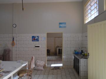 Comprar Comerciais / Salão em Sertãozinho R$ 500.000,00 - Foto 15 Comprar Comerciais / Salão em Sertãozinho R$ 500.000,00 - Foto 15