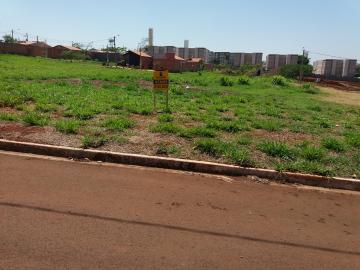 imagem 1 - Terrenos - Padrão imagem 1 - Terrenos - Padrão
