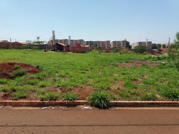 imagem 1 - Terrenos - Padrão imagem 1 - Terrenos - Padrão