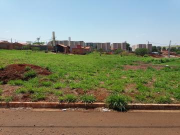 imagem 2 - Terrenos - Padrão imagem 2 - Terrenos - Padrão