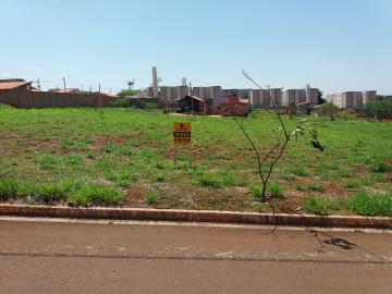 imagem 2 - Terrenos - Padrão imagem 2 - Terrenos - Padrão