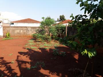 Comprar Casas / Padrão em Sertãozinho R$ 950.000,00 - Foto 13 Comprar Casas / Padrão em Sertãozinho R$ 950.000,00 - Foto 13
